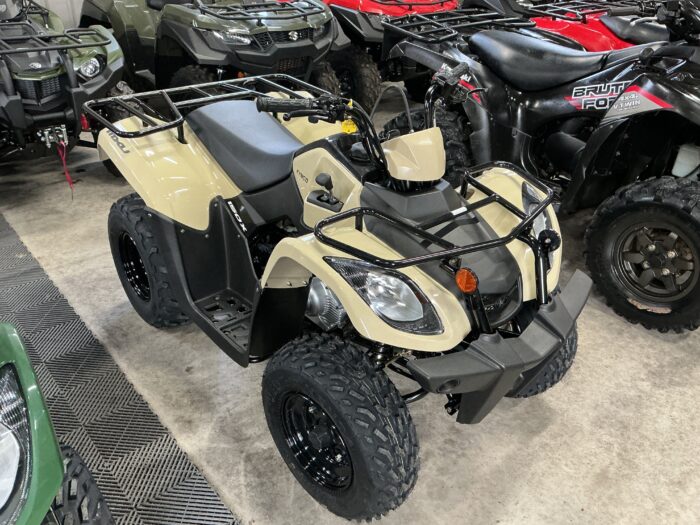 New Kymco 150cc - Image 2