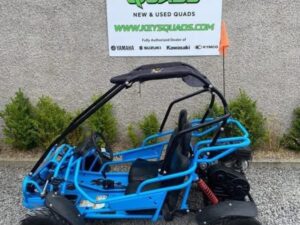 Hammerhead 208 Buggy